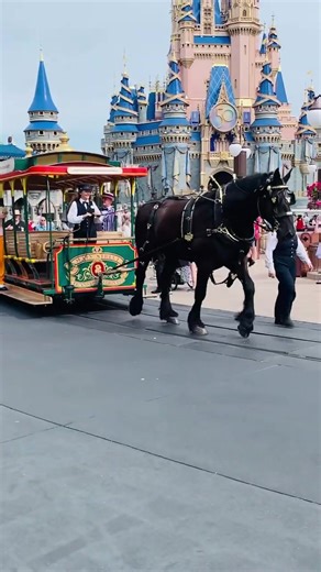 Dapper Dans #waltdisneyworld #50thanniversarydisney #dapperdan #dapperday #magickingdom