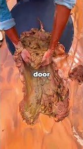 DO NOT TOUCH THAT SOUND PLEASE