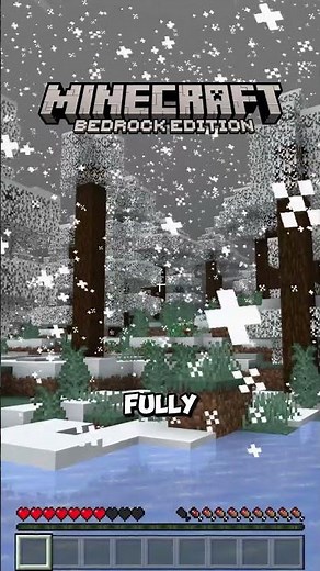 Snow Different In Minecraft Java & Bedrock