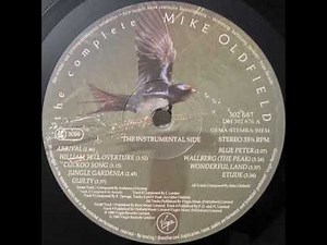 Mike Oldfield - William Tell Overture (1976)