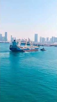 The Uluburun Shipwreck and Its Bronze Age Cargo
