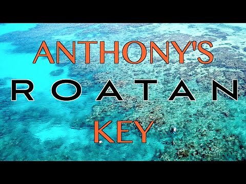 Roatan Honduras - Anthony's Key Resort - Scuba Diving, Dolphins, & Sharks