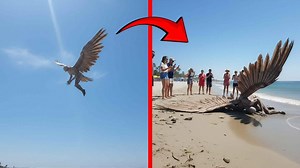 Real Mythical Creatures Caught On Camera | Aliens UFO Caught on Camera