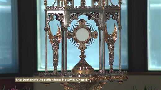 Jesus is waiting for you! Spend a few minutes adoring Our Lord Jesus Christ, who truly is present in the Most Holy Eucharist. Include your intentions, and remember that the EWTN Family is always praying with you and for you! Learn about the Eucharist and get a free eBook: https://bit.ly/EWTN_Eucharist This stream will run Monday-Friday from 9 a.m. - 5 p.m. ET (approx.) You also can adore Jesus here: https://ewtn.com/catholicism/adoration God bless you, family! | EWTN