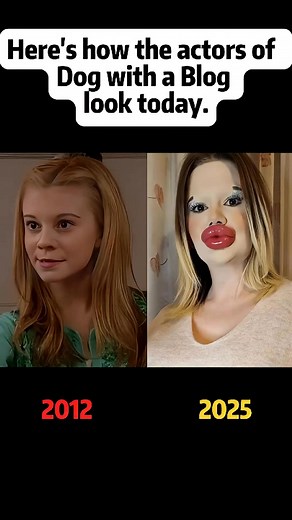 Here's how the actors of Dog with a Blog look today #fblifestyle | Living Wisdom