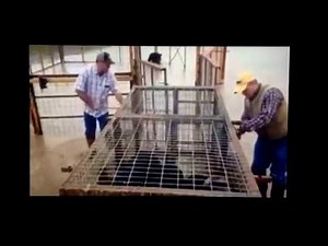 Best Hog Trailer for Trapping