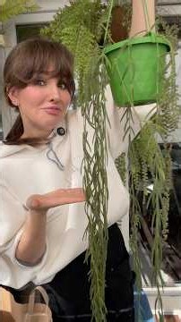 GREEN UNBOXING🪴 #houseplants #plants #greening #plants #unboxing