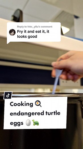 Cooking Endangered Turtle Eggs