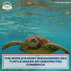 KCBS Radio on Reels | Facebook