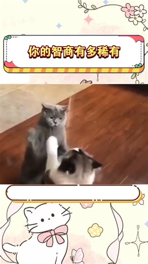 你真的了解自己的智力嗎？ 這不是憑感覺的測試，而是從 邏輯・記憶・反應速度 多面向評估。 只要 3 分鐘，就能看到你的真實 IQ。 👉 立即測試看看 | IQ-Test