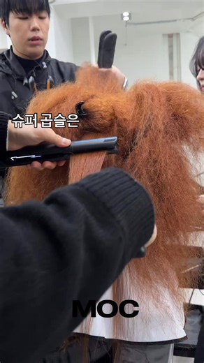 MOC 모크 대표원장 재경 on Instagram: "샴푸부터 프레스까지 정말 열정적으로 작업 ✨ 프레스 했던 매직기는 글램뮤즈 마스터피스입니다. 열판도 길어지고 프레스할때 손목 부담, 압도 굉장히 편안합니다. 완전 추천 ! #글램팜 #악성곱슬 #복구매직 #마스터피스"