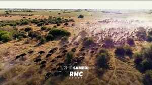 Retour à l'instinct primaire Saison 6