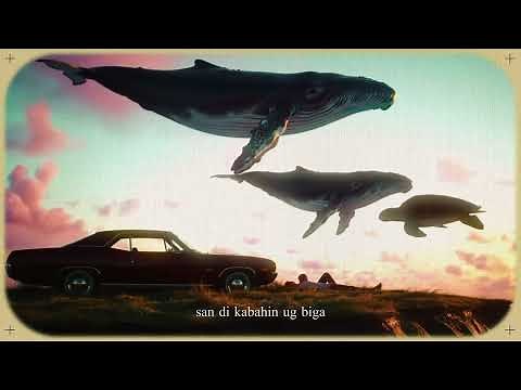 Midnasty- Palalom (Lyric Video)