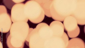 bokeh creates from earthen lamp