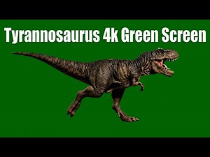 Tyrannosaurus 4K Green Screen | Ultra Realistic T-Rex Animation | GreenX AI |