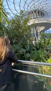 10K views · 19 reactions | Is this Singapore?! Honestly it looks it...