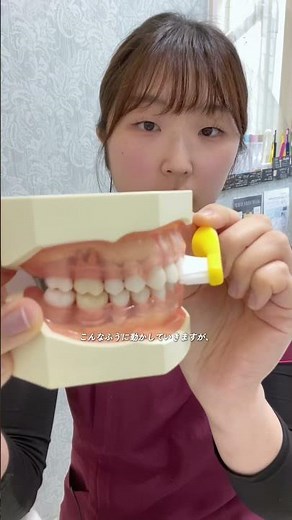 歯医者さんでしか聞けない！？歯科衛生士の歯磨き指導🪥🫧〜歯ブラシの持ち方と当て方編〜今日から実践してみてください🥰#歯科衛生士 #鶴岡市