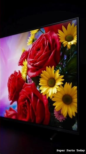 LED vs LCD: The TRUTH About Brightness! 📺✨