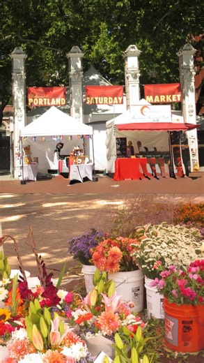 Take a stroll with us through Portland Saturday Market ✨ From handmade art to unique gifts, tasty eats to live music, there’s something around every corner waiting to be discovered 🎨🪴🍔🎶 Come shop, snack, and soak up the vibes this Saturday! We’ll be open 10am to 5pm along the waterfront 🌊☀️ Grab a friend, bring your pup, and make a day of it 🐾🛍 See you at the market! #portlandsaturdaymarket #travelportland #portlandevents #portlandwaterfront #portlandoregonevents #thingstodoportland #port