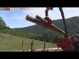 BEHA T710 Crane 6550 Stehplatz mit Sitz