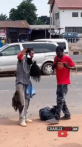 Social Experiment Test 😭 Part 10 | CharlieLove PRANK 2