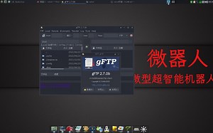 最小的ftp经典文件传输,和gFTP图形界面客户