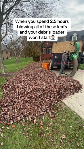 Leaf Cleanup Challenge: The Struggles of a Debris Loader