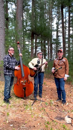 Happy Zeppelin Bluegrass Acoustic Cover by Ray Toole ft. Singer