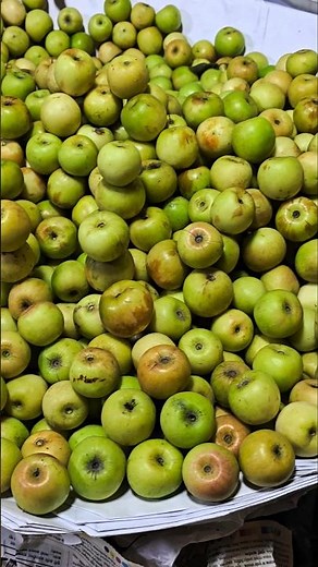 Jujube Fruits Rich in vitamin C, Antioxidants, Fiber, Potassium, Iron and Phosphorus #shorts