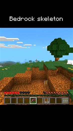 Minecraft Java vs Bedrock edition
