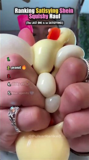 Ranking Most Satisfying Shein Squishy Haul 3