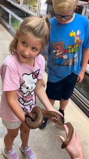 If your kids love animals, a tour at the Phoenix Herpetological Sanctuary is an unforgettable experience! This nonprofit sanctuary rescues and cares for reptiles and other wildlife, and every visit is a chance to meet new animal friends. During your interactive tour, you will come face-to-face with tortoises, turtles, snakes, lizards, and even a few mammals like a capybara and opossum. The tour is about half indoor and half outdoor, with plenty of shaded spots and seating along the way. Outdoor 