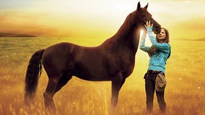 Watch Flicka 2 online free on TinyZone