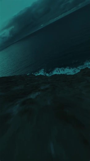 Human #fyp #music #lyrics #song #human | song with lyrics