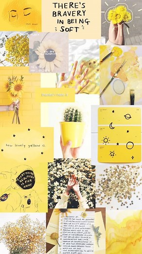 Yellow Aesthetic Flower Wallpapers