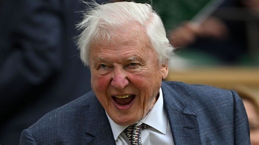 David Attenborough a 100 ans : comment le visage du documentaire animalier a allié la science et l’art du storytelling - RTBF Actus
