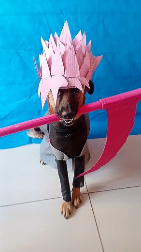 Goku Black Cosplay with Pet Dog | Dragon Ball Anime