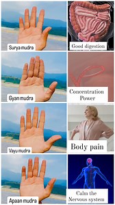 4 Mudras ✅ 30 minutes each . . . .#yoga #yoga #yogalifestyle #mudra #healthylifestyle #instagood #viralreelsfbpage #canada #usa | Vedicyoga with Shivam