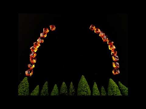Fireworks: A Thank You Animation