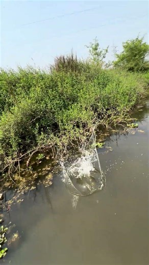 JBL Flip 2 vs Water 💦 | Ultimate Water Test