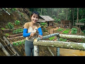 I spent 360 days building a farm in the forest | living a free and self-sufficient life.