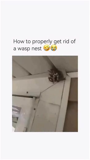 MR.RISKTAKER 🛸✌🏾 on Instagram: "Crash out 😂"