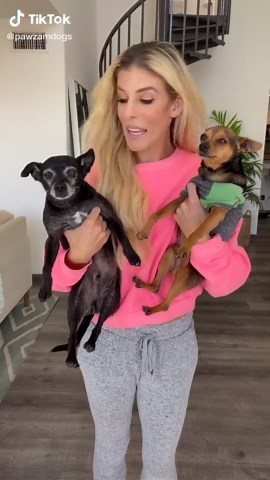 Can Our Mom Help Us Get TikTok Famous? Pawzam Dogs