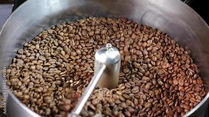 Coffee bean roasting process. Coffee roaster machine spinning cooling process. Preparation fresh aroma caffeine on manufacturing warehouse. Production of fresh fried coffee beans roasting factory