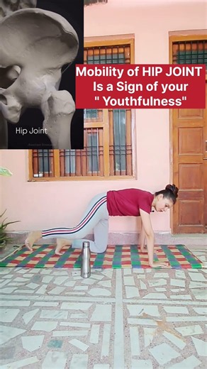 hip joint mobility #hipmobility #jointmobility #health #fitness #ytshorts #viral #fat #homeworkout