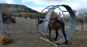 1K views · 59 reactions | Paul Garrison III videos for consideration for the 2021 Missouri Mule Makeover. Good luck! | Missouri Mule Makeover/Ozark Mule Days | Facebook