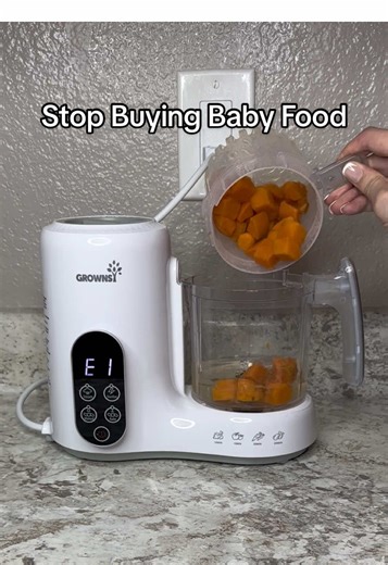 Homemade Baby Food: Easy and Affordable Guide