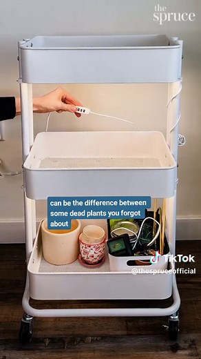 We share exactly how to make a rolling plant care cart that can hold all of your houseplant needs! You will be able to keep your plant supplies easily organized and ready to be used at anytime. #TheSpruce #indoorplantcare #houseplantclub #indoorgardentips #apartmentgardening #plantcart