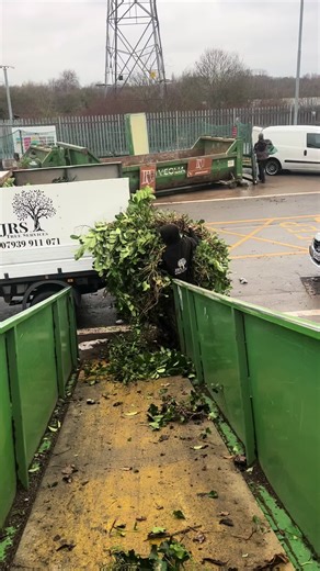 Timberwolf Service: Teamwork in Tree Work