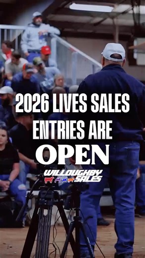 ALL entries are open for our 2026 spring sales‼️ Check out the links below for entries & more information ⬇️ Enter Here: https://wlivestock.com/pages/44647 Live Auction Calendar: https://wlivestock.com/pages/41179 We hope to see you all very soon! #whereitallbegan #online #auction #livestock #live | Willoughby Sales